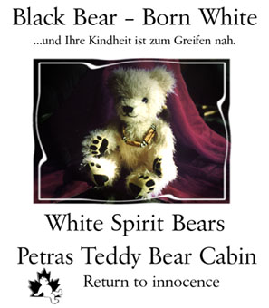 Black Bear