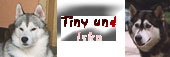 Tiny und Isko