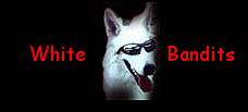white bandits