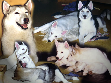 Aska und Kiddies