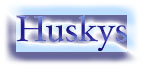 Huskys