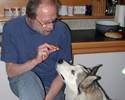 Merlin und der Boss