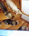 Wir üben Treppe
