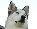 it's me! merlin